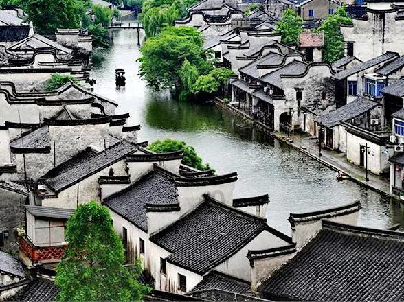 深入了解从《梦华录》到《苍兰诀》,徐海乔的演技发生了怎样的变化?,百问百答知识星球平台